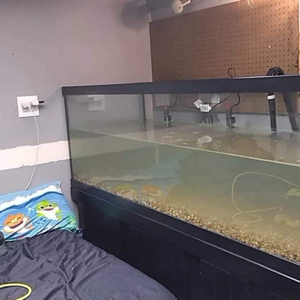 180 gallon fish tank